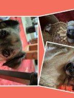 FB_IMG_1721650183760